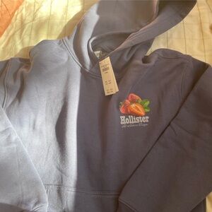 Hollister hoodie